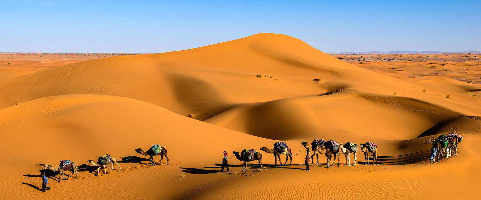 7-day Sahara and sea tour: Marrakech, Ouarzazate, Dades, Chegaga dunes, Aguinane valley, Essaouira coast