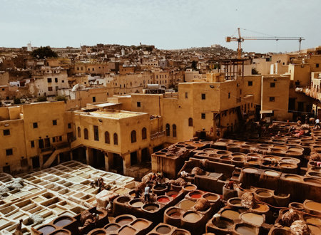 Fès excursions: discover ancient medina, Atlas mountains, and desert tours