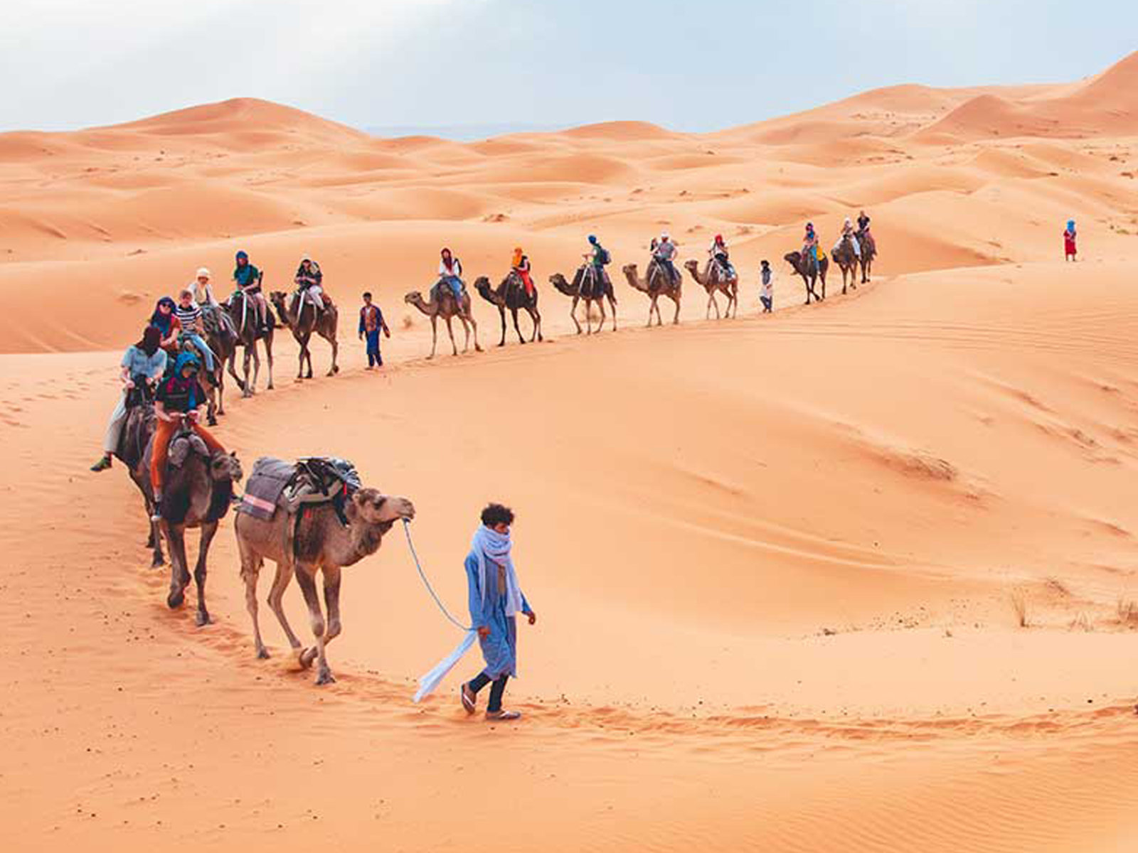 Camel trekking through Morocco's Sahara desert at sunset